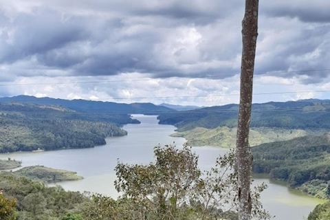 MEDELLIN: WYCIECZKA MLECZARSKA + SZWAJCARIA KOLUMBIJSKA