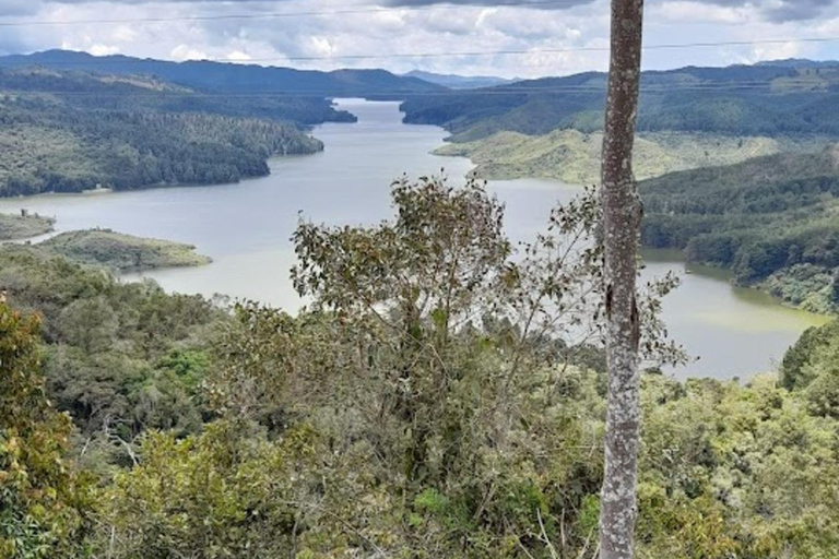 MEDELLIN: WYCIECZKA MLECZARSKA + SZWAJCARIA KOLUMBIJSKA