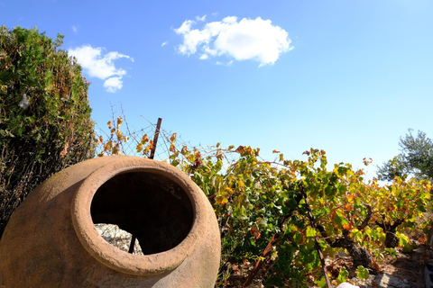 帕福斯半日游（免费品酒）- 最多7人 - 全程空调帕福斯半日游（免费品酒，最多 7 人，全程空调）