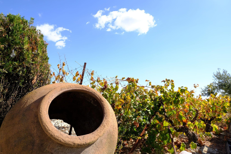 帕福斯半日游（免费品酒）- 最多7人 - 全程空调帕福斯半日游（免费品酒，最多 7 人，全程空调）