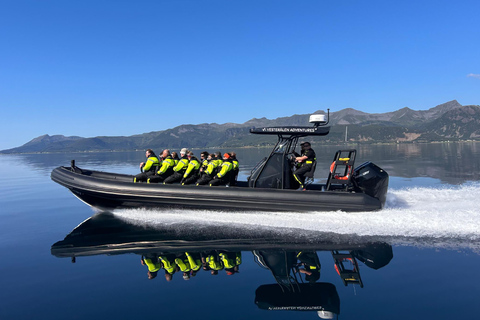 索尔特兰德：特罗尔峡湾RIB船游索尔特兰德：特罗尔峡湾 rigid inflatable boat（RIB）游船之旅