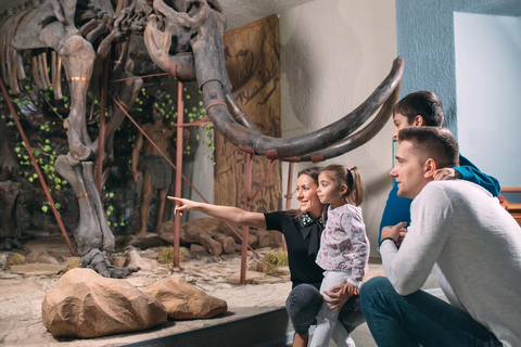 Museum of Zoology Sao Paulo Private Guided Tour & Transport 2-hour: Museum of Zoology Tour