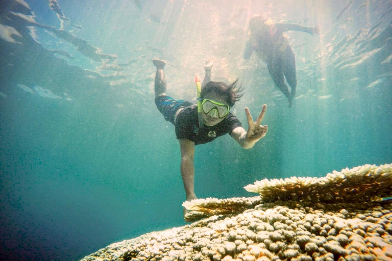 Lombok: Private Snorkeling,Gili Trawangan,Gili Meno,Gili Air Start From: Tetebatu/Lembar Port/Gili Mas Port