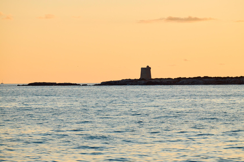 Ibiza: Formentera Boat and Bike Guide Tour +Sunset Party Gold Edition: Formentera Bike & Boat Adventure from Ibiza