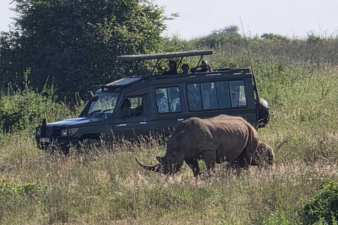 Nairobi: National Park Half-Day Safari with Hotel Pick-Up