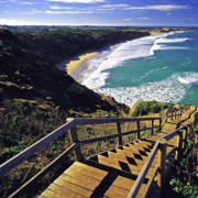 Great Ocean Road Reverse & Helicopter Experience Group Tours