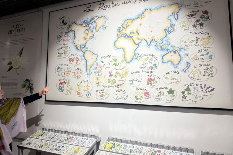 Cannes: Antibes, Nice, Èze, and Monaco Private Tour