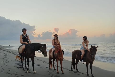 Bali: Horse Riding, Waterfall & Goa Gajah Temple 1-Day Tour