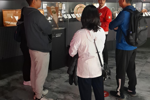 Lisbonne : stade Luz de 2 heures et visite guidée du muséeBrésil et Benfica