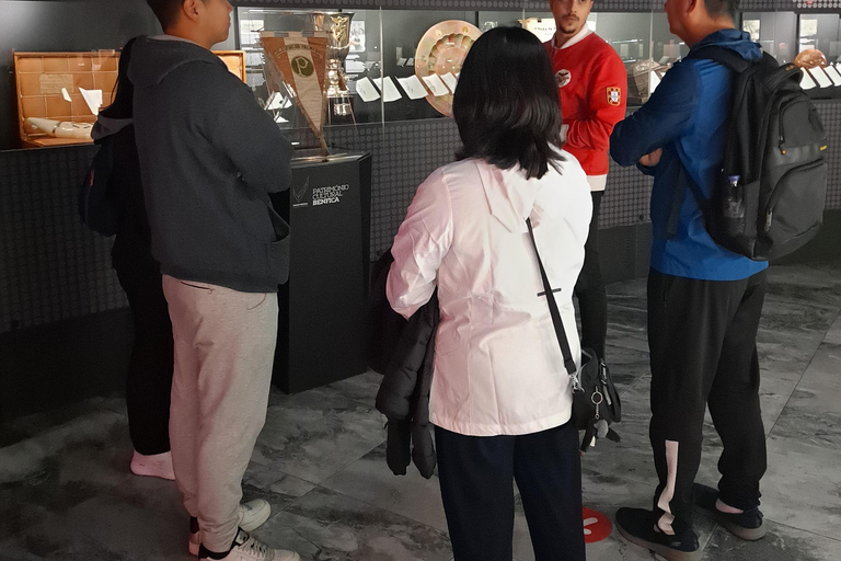 Lisbonne : stade Luz de 2 heures et visite guidée du muséeBrésil et Benfica