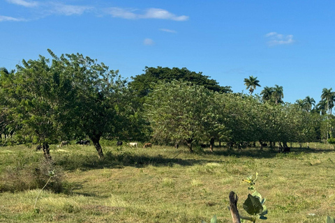Puerto Plata: El Gallo Ecolodge Day Pass with Lunch