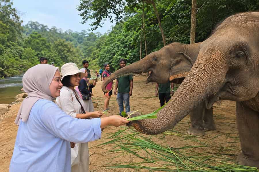 Batu-Höhlen & Elefantenreservat mit kostenloser Tour durch Kuala Lumpur. Foto: GetYourGuide Batu-Höhlen & Elefantenreservat mit kostenloser Tour durch Kuala Lumpur. Foto: GetYourGuide
