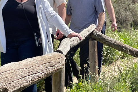 From Madrid: Cooking Class by a Castle in the Olive Groves