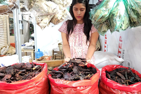 Messico: Corso di preparazione della salsa in un mercato con uno chef