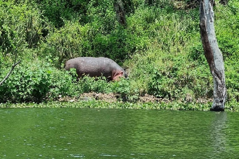 Nairobi: Crescent Island Walking Safari and Lake Naivasha Shared: Crescent Island and Lake Naivasha without Entry Fee