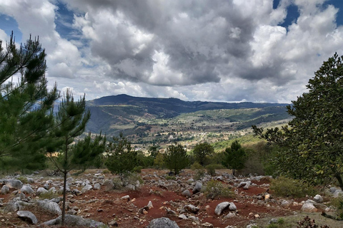 Oaxaca: Cascadas de Apoala Tour de 1 día en bici y a piePrecio a partir de 4 personas