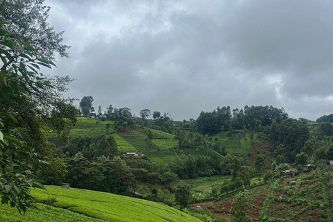 Nairobi:Gatura Greens Farm - Organic Farming & Culinary Tour