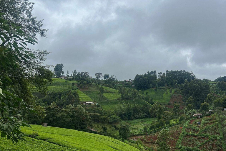 Nairobi:Gatura Greens Farm - Organic Farming & Culinary Tour
