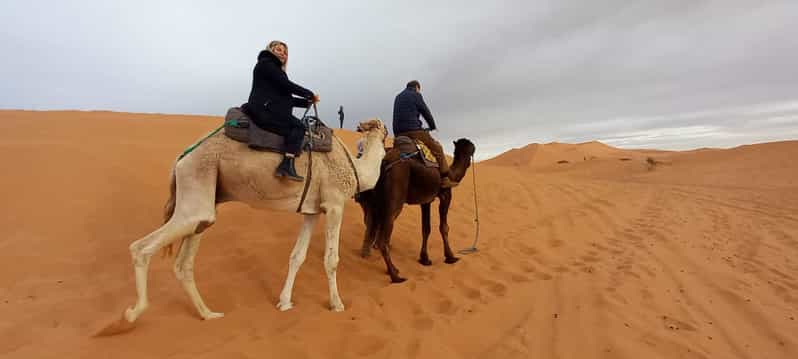 Depuis Marrakech : excursion de 3 jours dans le désert de Merzouga et le Sahara - dromadaire