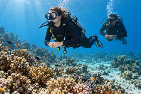 Marsa Alam: 3-Day SSI Open Water Diver Course with Pickup
