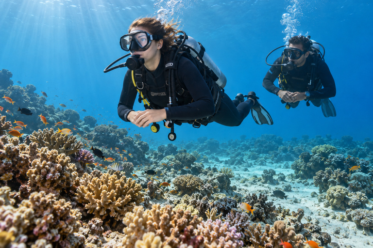 Marsa Alam: 3-Day SSI Open Water Diver Course with Pickup