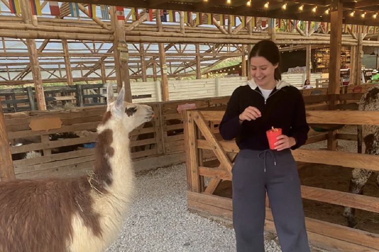 Medellín: Guatapé and Medellín City Door-to-Door Transfer Door-to-door transfer from Medellín to Guatapé.