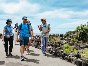 São Miguel Oeste: Tour de día completo en furgoneta con almuerzo