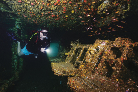 Sunshine Coast: Tauchgang im Schiffswrack der Ex-HMAS Brisbane