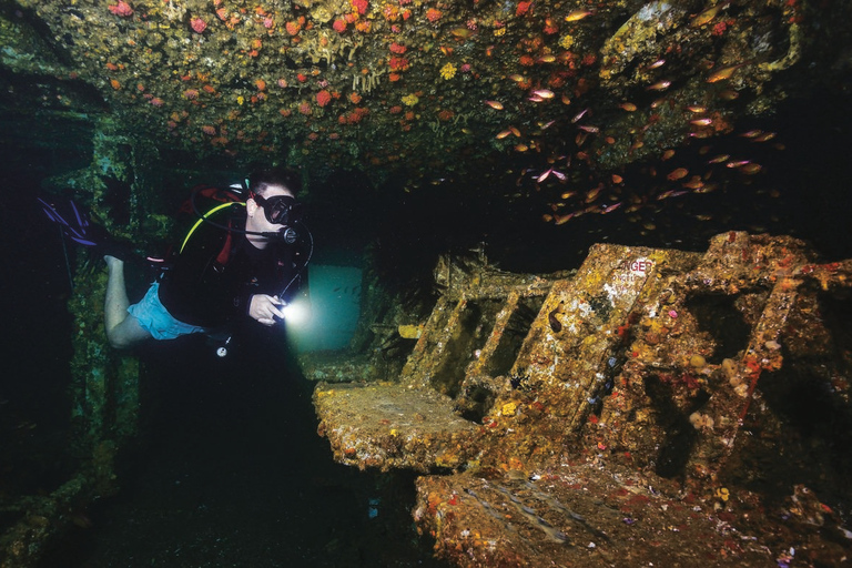 Sunshine Coast: Tauchgang im Schiffswrack der Ex-HMAS Brisbane