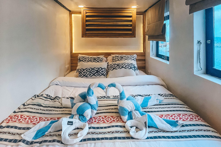 Labuan Bajo: 3-Day Komodo Sailing Luxury Boat with All Fees Deluxe Boat - Private Standar Room (2pax/room)