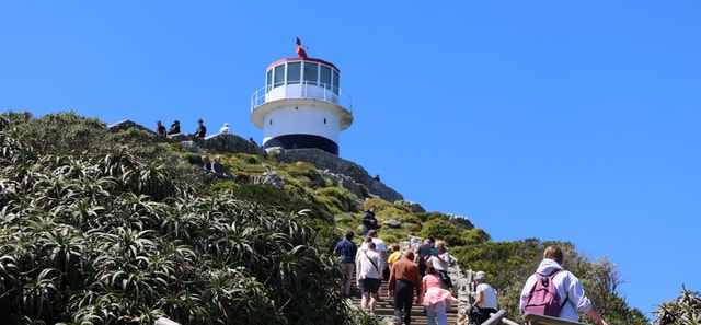 Cape Town: Tour Cape Point & Boulders Beach Penguin Day Trip