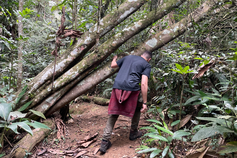 San Paolo: Escursione nella foresta atlantica con un biologoSan Paolo: Escursione di un giorno nella foresta atlantica con un biologo