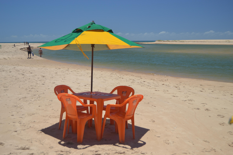 Salvador North Shore: Beach Hopping Tour to Praia do Forte