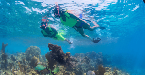 Von Miami aus: Tagestour nach Key West