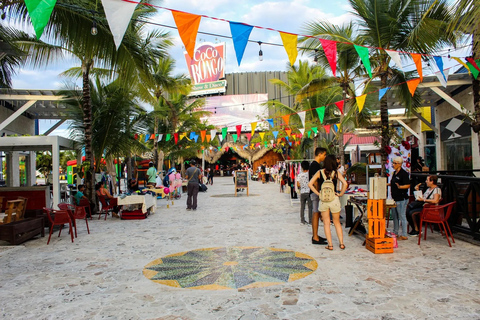 Punta Cana: Private Shopping Tour in a Luxury Cadillac