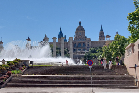 Barcelona: Private City Tour