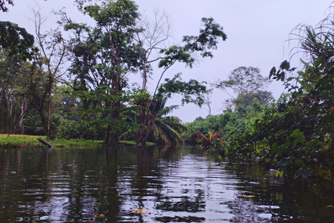 Private Kayaking Adventure: a 2-hour Wildlife Escape Self-Guided Kayaking Adventure: a 2-hour Wildlife Escape