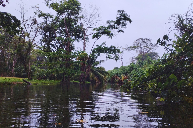 Private Kayaking Adventure: a 2-hour Wildlife Escape Self-Guided Kayaking Adventure: a 2-hour Wildlife Escape