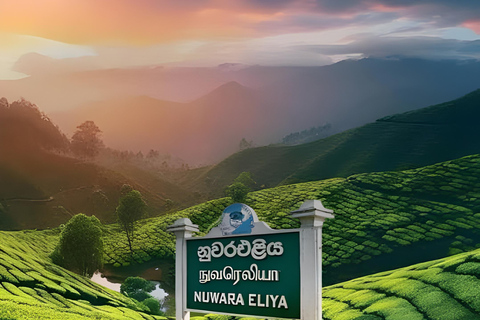 Sigiriya: Nuwara Eliya Day Trip with Tea Factory Visit Full Day Trip with Tea Factory Visit by Tuk Tuk