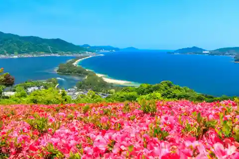 大阪から：天橋立と伊根湾日帰りツアー