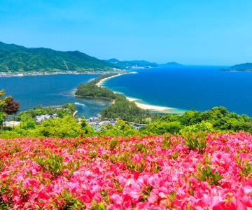 Fra Osaka: Dagstur til Amanohashidate og Ine Bay