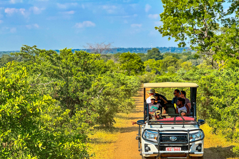 Cataratas Vitória: Passeio de carro pelo Parque Nacional do ZambezePasseio matinal de carro