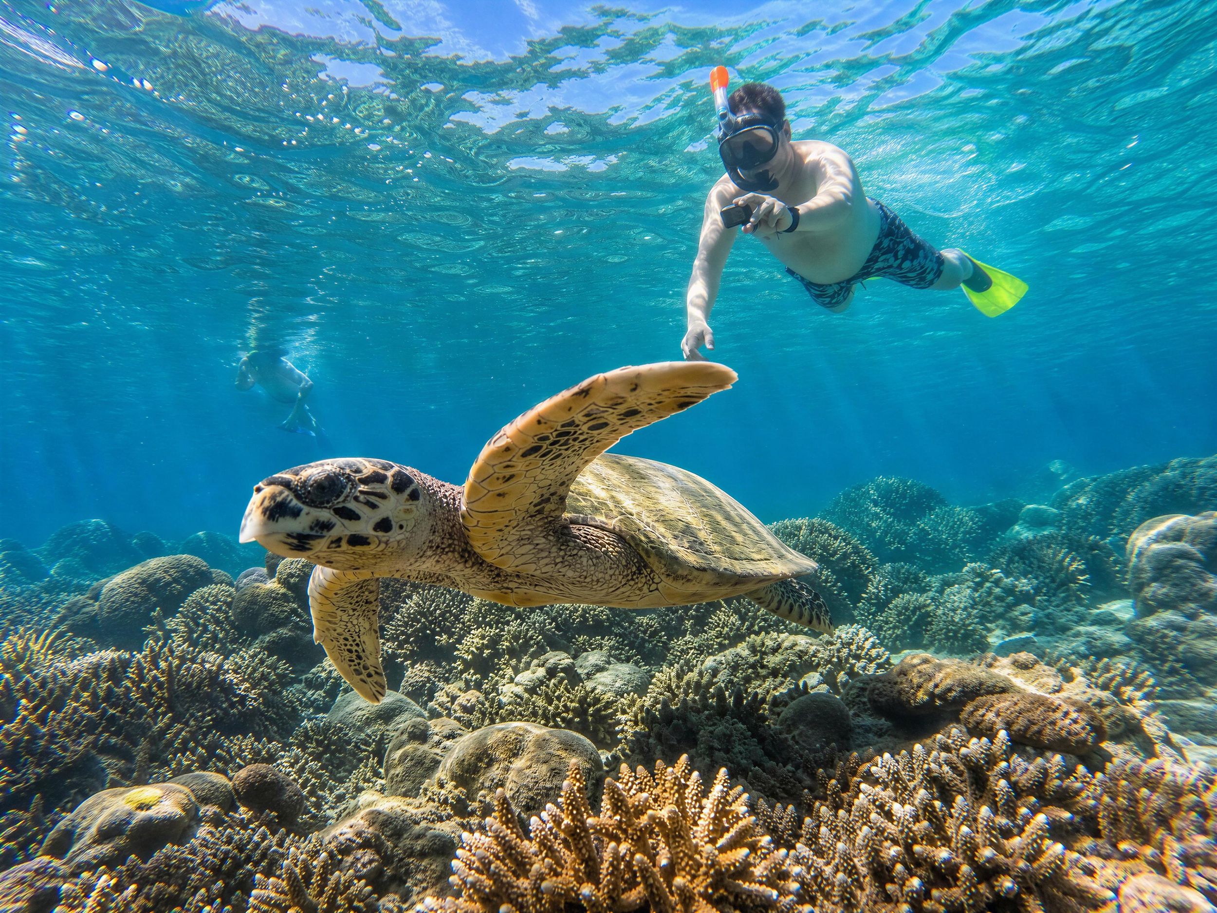 Gemeinsame Schnorcheltour zu 3 Gili-Inseln mit Schildkröten & Riffen
