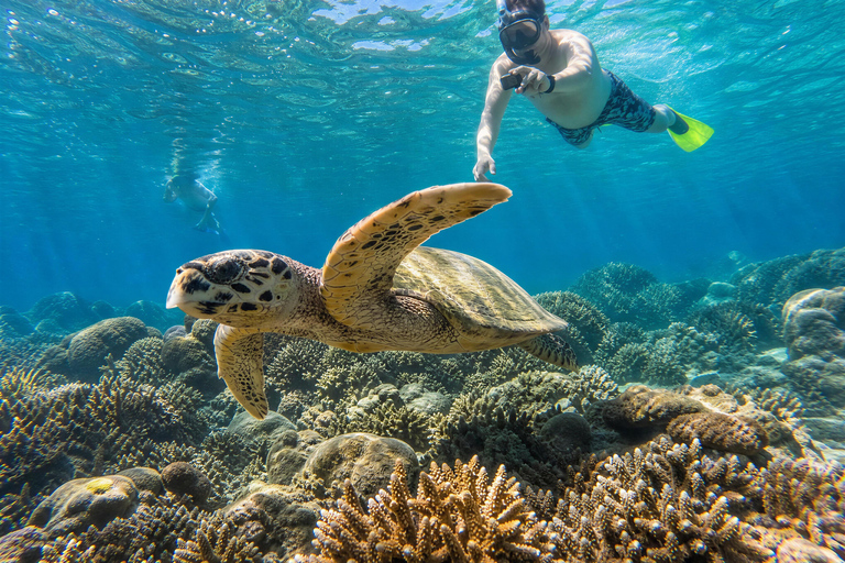 Shared 3 Gili Islands Snorkeling Tour with Turtles & Reefs