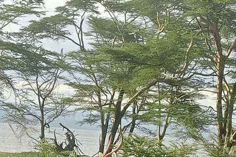 Park Narodowy Lake Nakuru z Nairobi