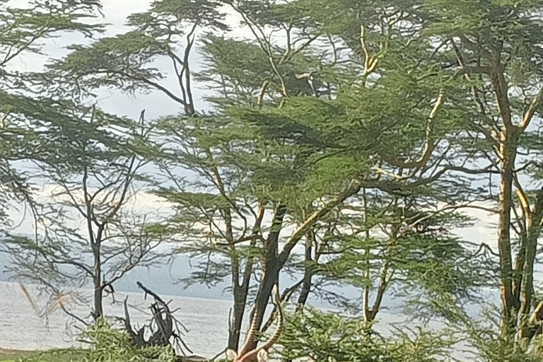 Lake Nakuru National Park from Nairobi