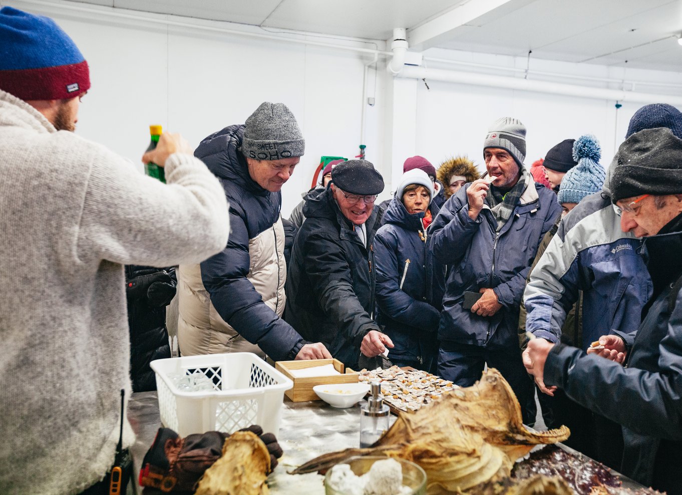 Tromsø: Arktisk fjordkrydstogt med hybridelektrisk katamaran