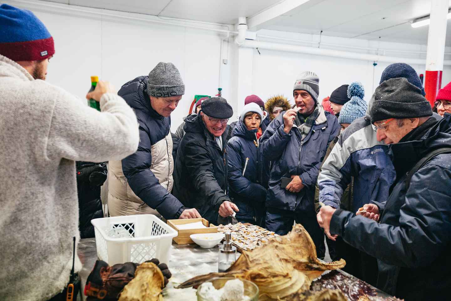 特罗姆瑟：电动双体船极地峡湾游