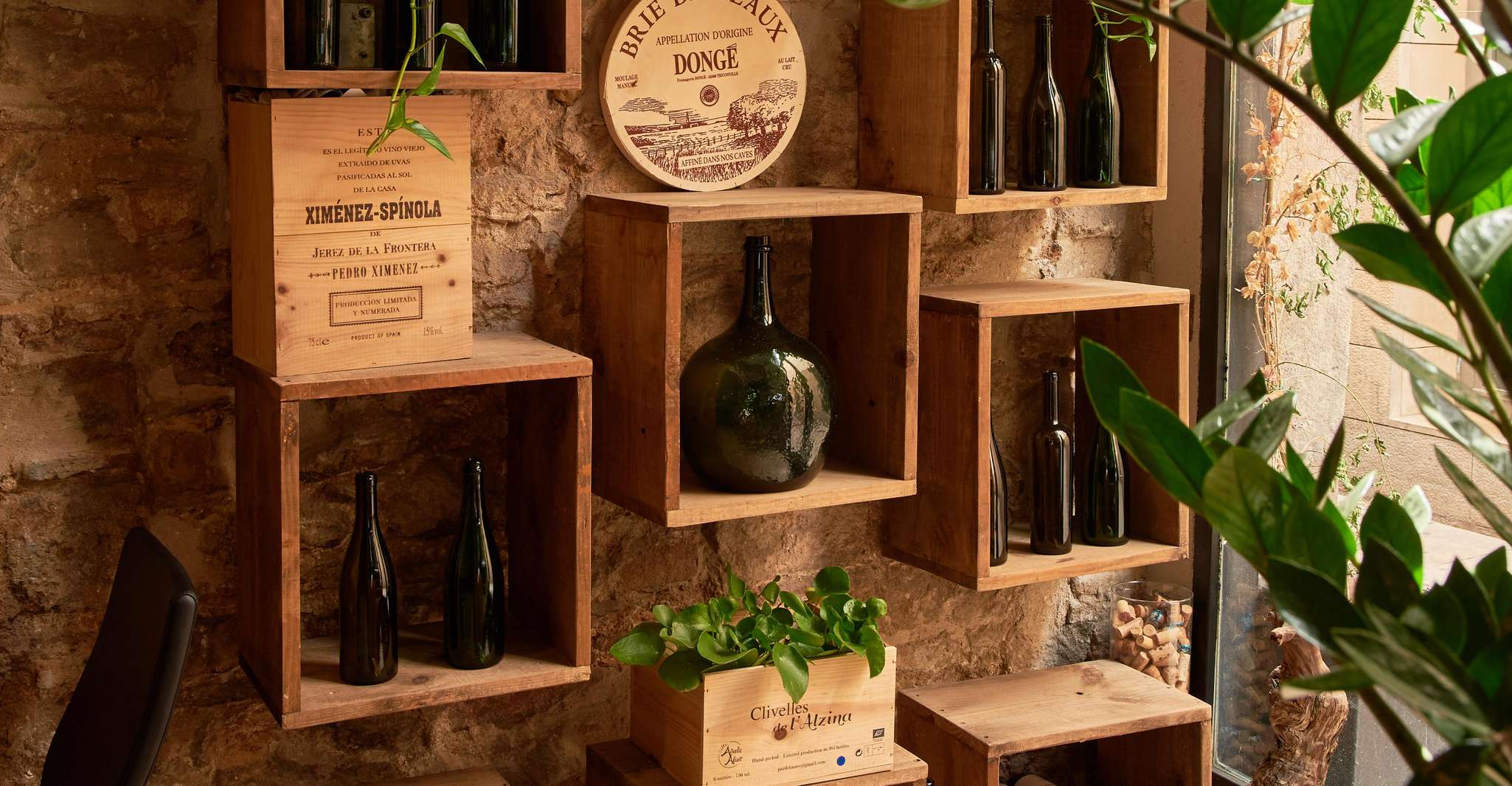 Barcelona Wine Tasting: Catalan and Spanish Wines photo 6