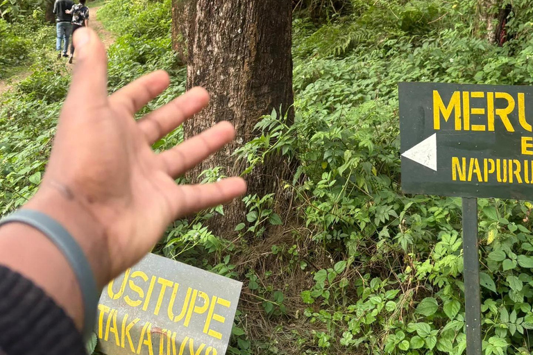 From Arusha: Napuru Waterfalls Guided Hike with Lunch